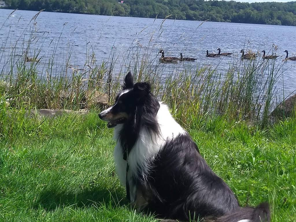 Lakeshore Restaurant | restaurant | 16 Crockett Rd, Dexter, ME 04930, USA | 2079243016 OR +1 207-924-3016