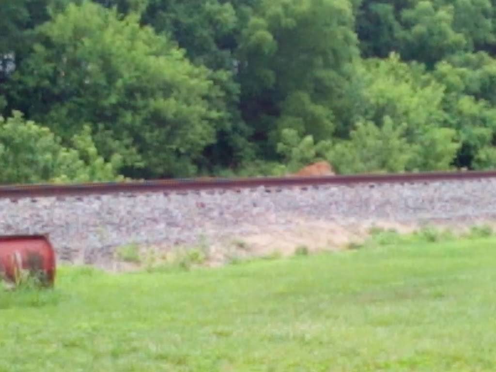 Country Cookin | restaurant | 906 E Hackberry St, Salem, IN 47167, USA | 8128961116 OR +1 812-896-1116