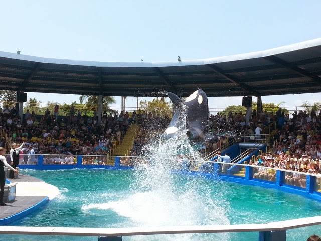 Seaquarium |  | 3979 Rickenbacker Causeway, Key Biscayne, FL 33149, USA | 3053615705 OR +1 305-361-5705