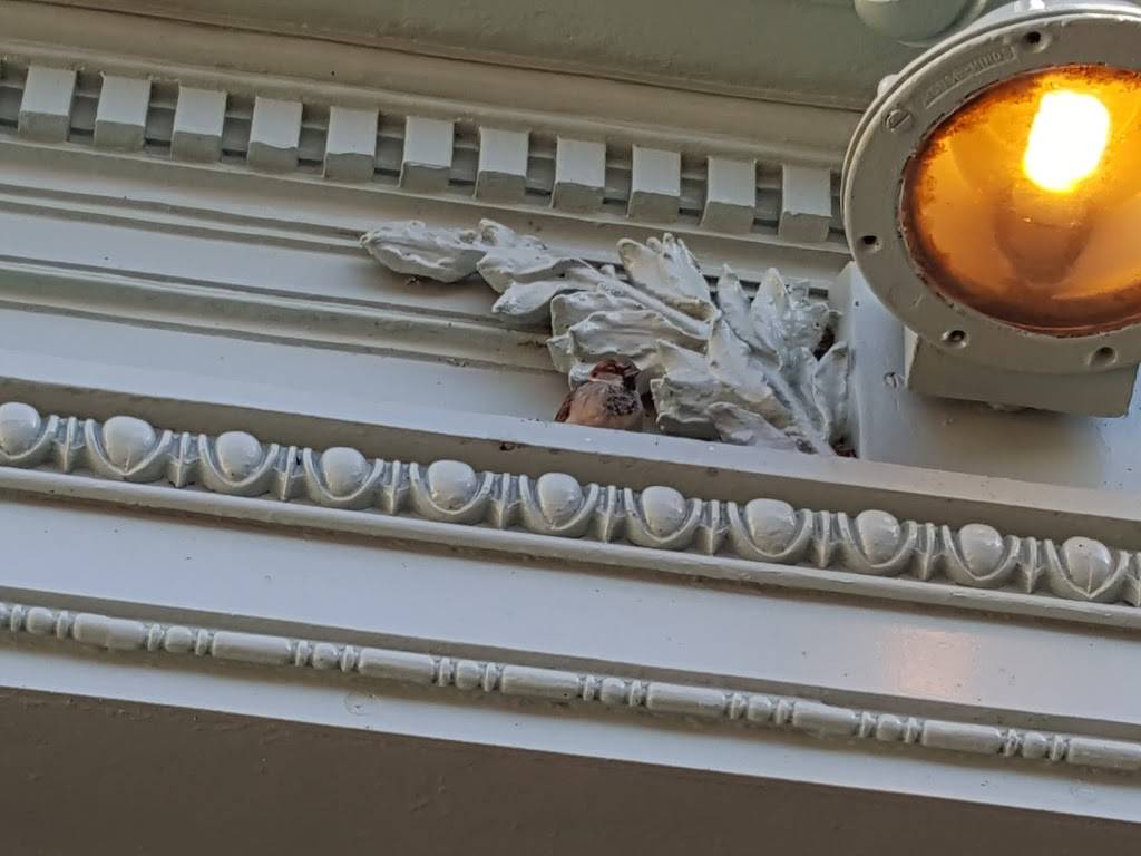 Naval Academy Club | restaurant | 2 Truxtun Rd, Annapolis, MD 21402, USA | 4102932611 OR +1 410-293-2611