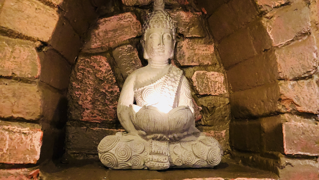 Lilly thai kitchen | restaurant | 1453 Dwight Way, Berkeley, CA 94702, USA | 5106499315 OR +1 510-649-9315