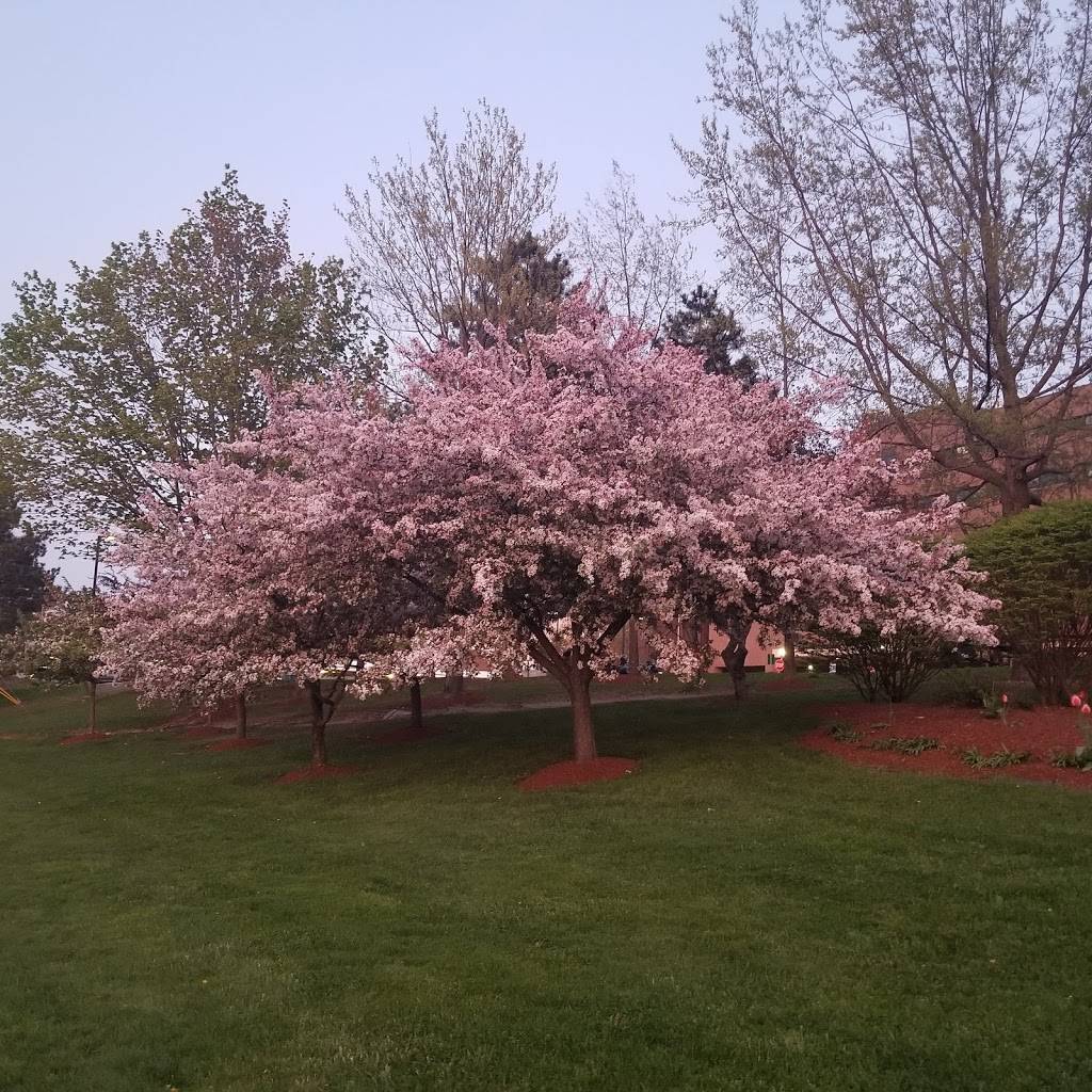 India House Restaurant | restaurant | 207 Colchester Ave, Burlington, VT 05401, USA | 8028627800 OR +1 802-862-7800