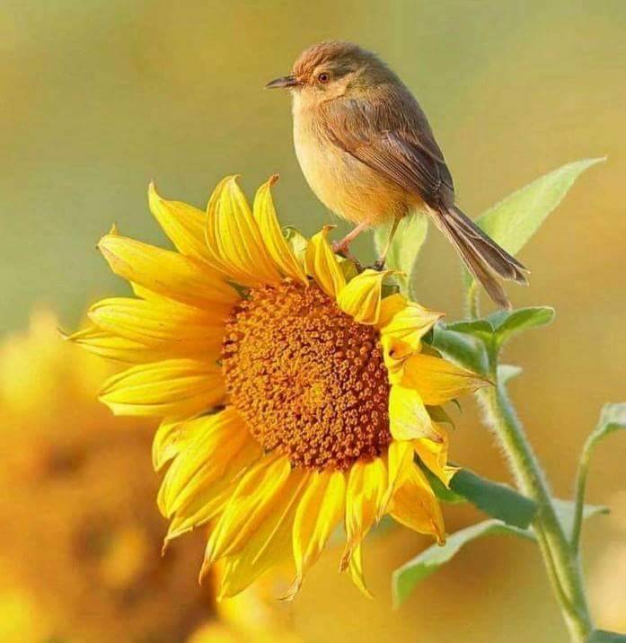 Pie314 RVA | restaurant | 423 N 18th St, Richmond, VA 23223, USA | 8047281800 OR +1 804-728-1800