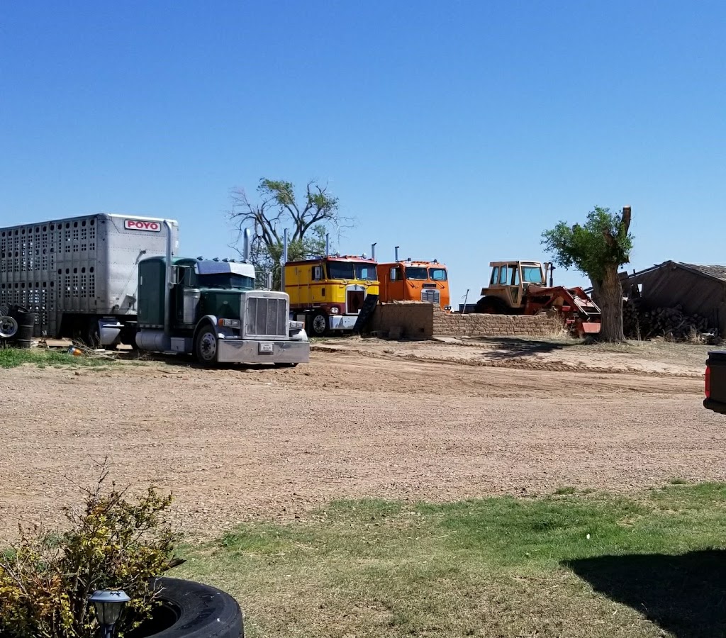 Turtles Place | restaurant | 322 S Main St, Perryton, TX 79070, USA | 8064359818 OR +1 806-435-9818