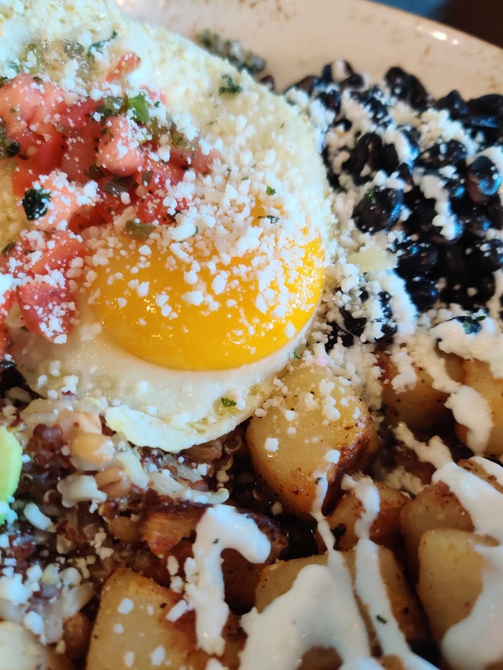 First Watch - Highlands Ranch | cafe | 9344 Dorchester St, Highlands Ranch, CO 80129, USA | 3033468687 OR +1 303-346-8687