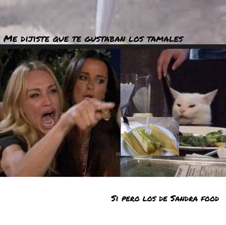 Isidro’s Tamales Sandra Foods | restaurant | 2841 W 59th St, Chicago, IL 60629, USA | 7737371882 OR +1 773-737-1882