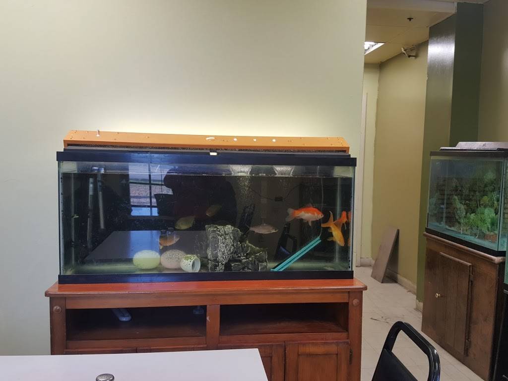 Farm Cafe | cafe | 14850 Farm Creek Dr, Woodbridge, VA 22191, USA | 7034903204 OR +1 703-490-3204