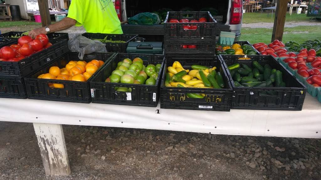 Country Diner | restaurant | 2429 US-221, Marion, NC 28752, USA | 8286524461 OR +1 828-652-4461