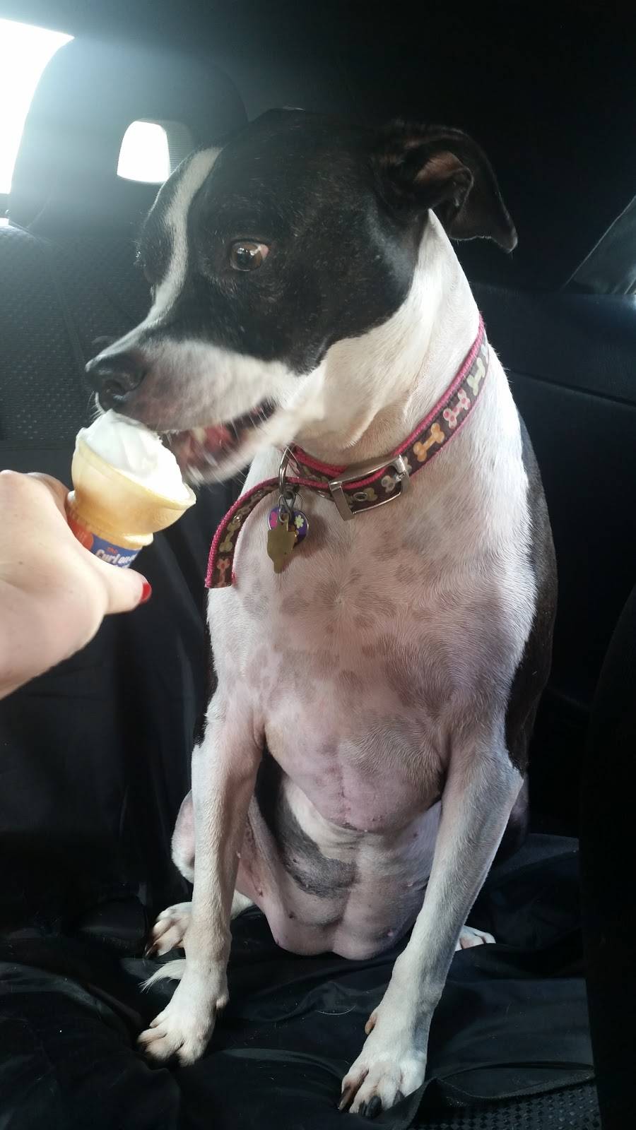 Dairy Queen Grill & Chill | restaurant | 202 LA-5, Logansport, LA 71049, USA | 3186972687 OR +1 318-697-2687