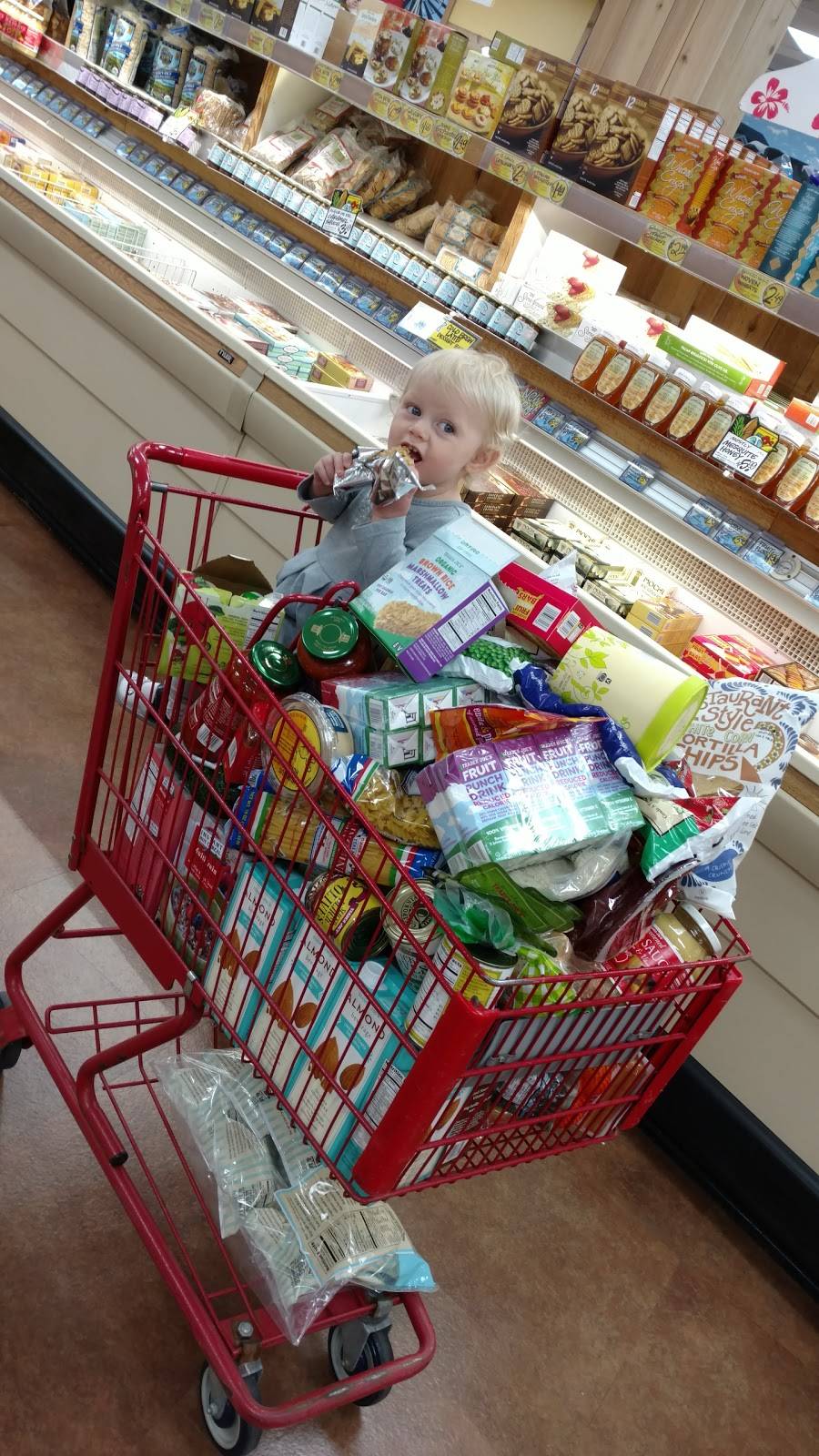 Glen Oak Plaza | shopping mall | 1401-1441 Waukegan Rd, Glenview, IL 60025, USA | 6306452800 OR +1 630-645-2800