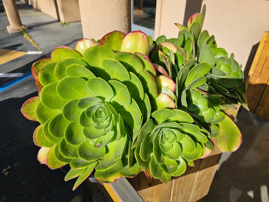 Pho Ivy II | restaurant | 501 Broadway, Sacramento, CA 95818, USA | 9164483577 OR +1 916-448-3577