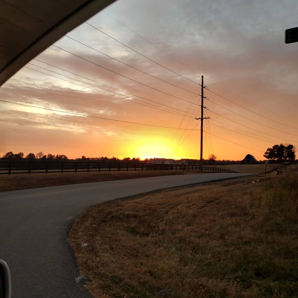 Sonic Drive-In | restaurant | 1010 E Main, Blytheville, AR 72315, USA | 8707632601 OR +1 870-763-2601