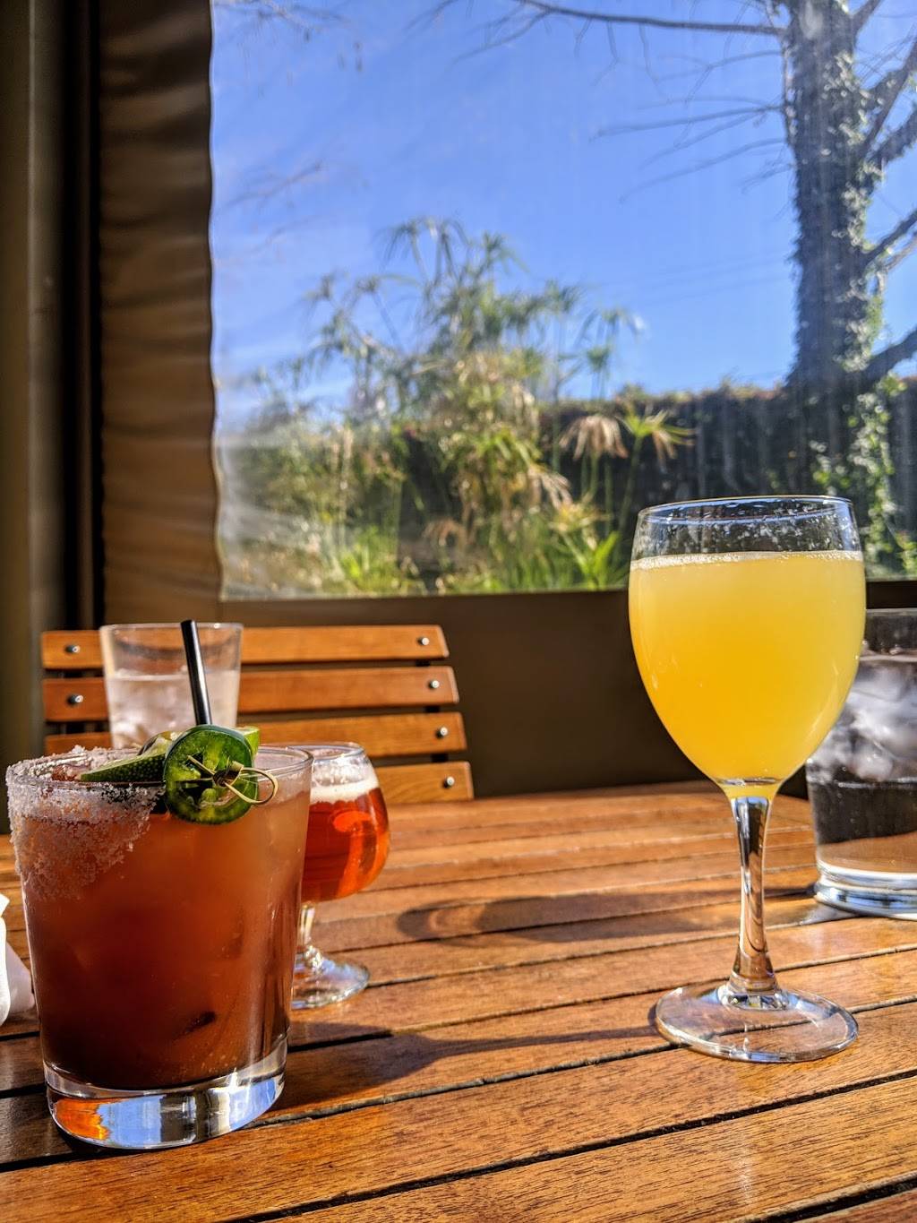 Meddlesome Moth | restaurant | 1621 Oak Lawn Ave, Dallas, TX 75207, USA | 2146287900 OR +1 214-628-7900