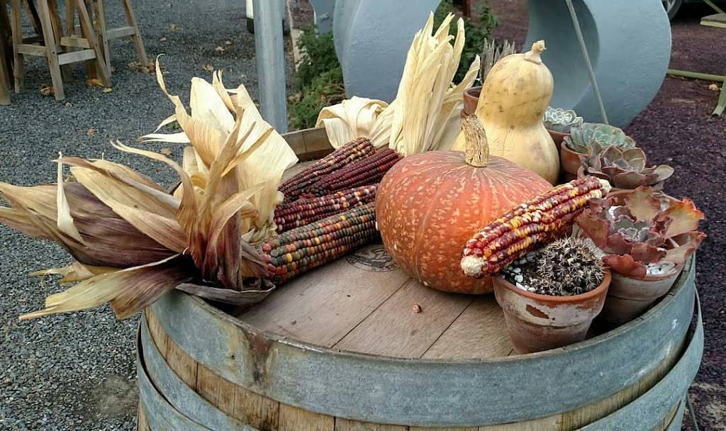 Peninsula en el valle | restaurant | Valle de Guadalupe, El porvenir, 22785 Ensenada, B.C., Mexico | 016461426470 OR +52 646 142 6470