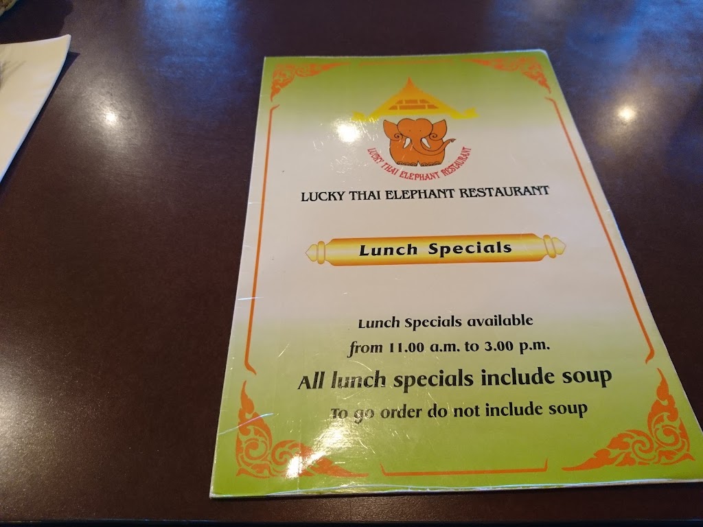 Lucky Thai Elephant Restaurant | restaurant | 807 SW Coast Hwy, Newport, OR 97365, USA | 5412652959 OR +1 541-265-2959