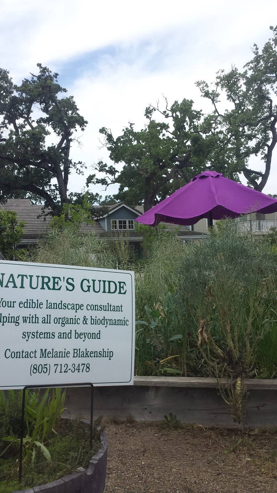 Natures Touch Nursery & Harvest | restaurant | 225 S Main St, Templeton, CA 93465, USA | 8057123478 OR +1 805-712-3478