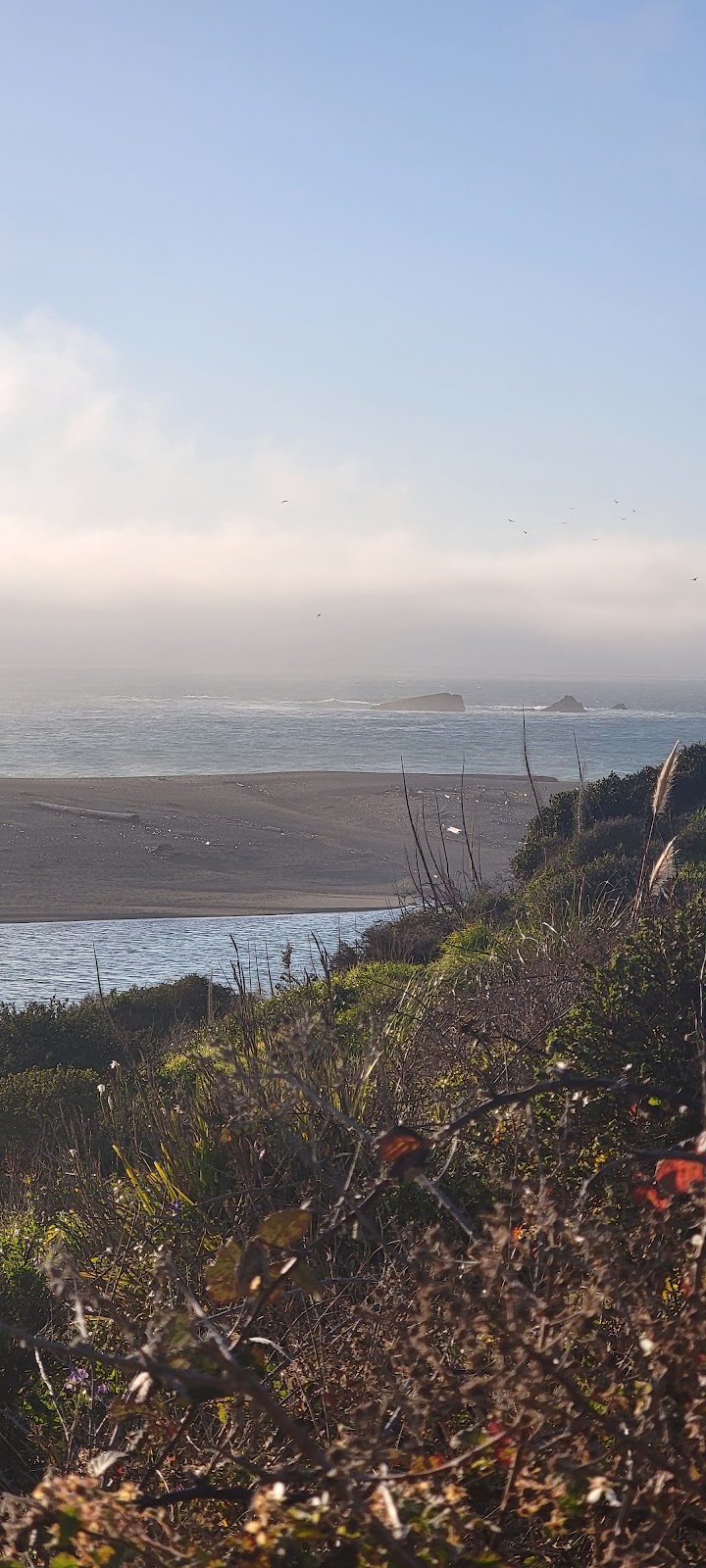 Upper Crust Pizzeria | restaurant | 39331 S, CA-1, Gualala, CA 95445, USA | 7078841324 OR +1 707-884-1324