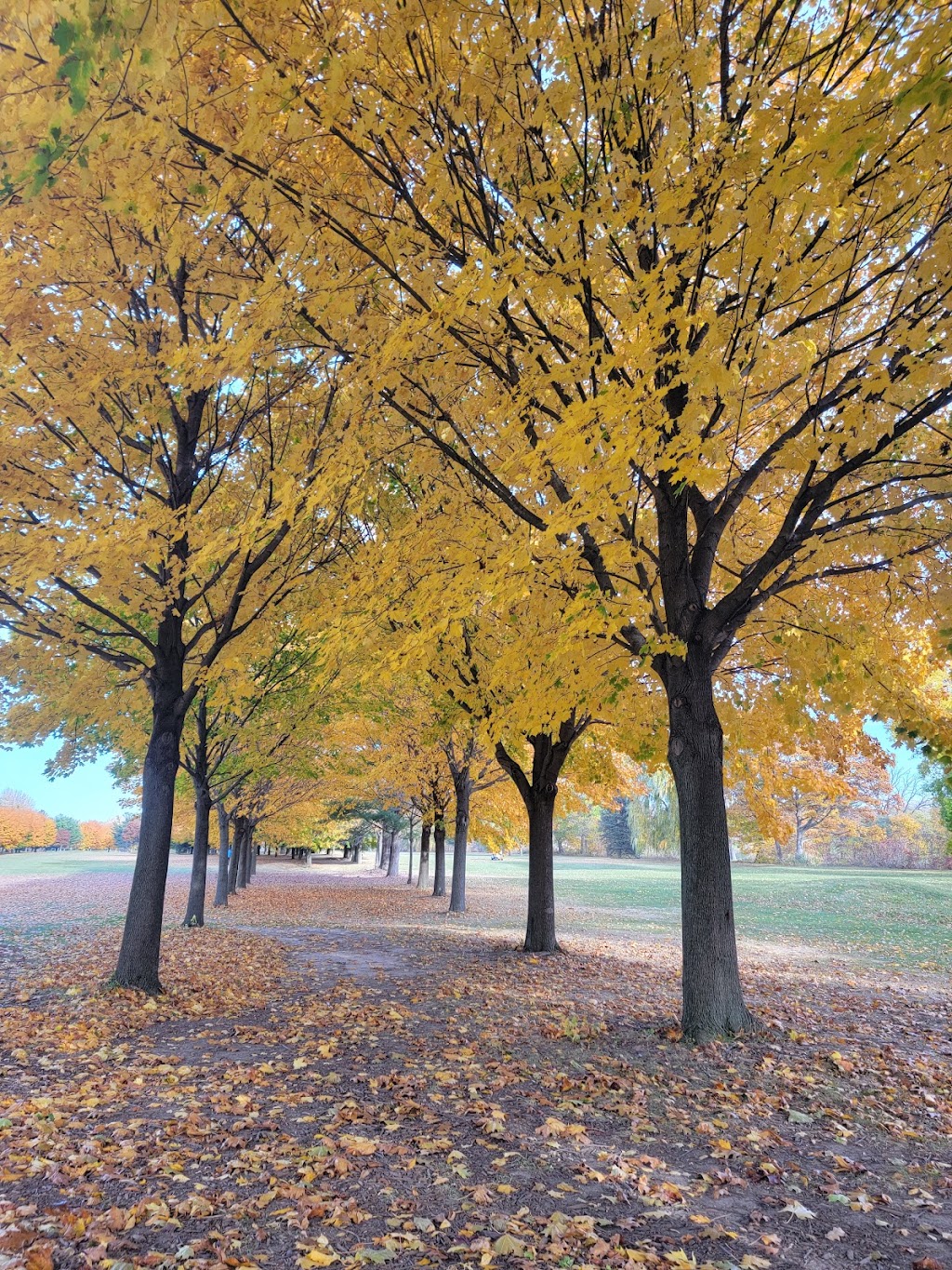 Willow Ridge Golf Club | restaurant | 3311 N River Rd, Fort Gratiot Twp, MI 48059, USA | 8109827010 OR +1 810-982-7010