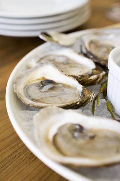 Metro Lafayette | restaurant | 3524 Mt Diablo Blvd, Lafayette, CA 94549, USA | 9252844422 OR +1 925-284-4422