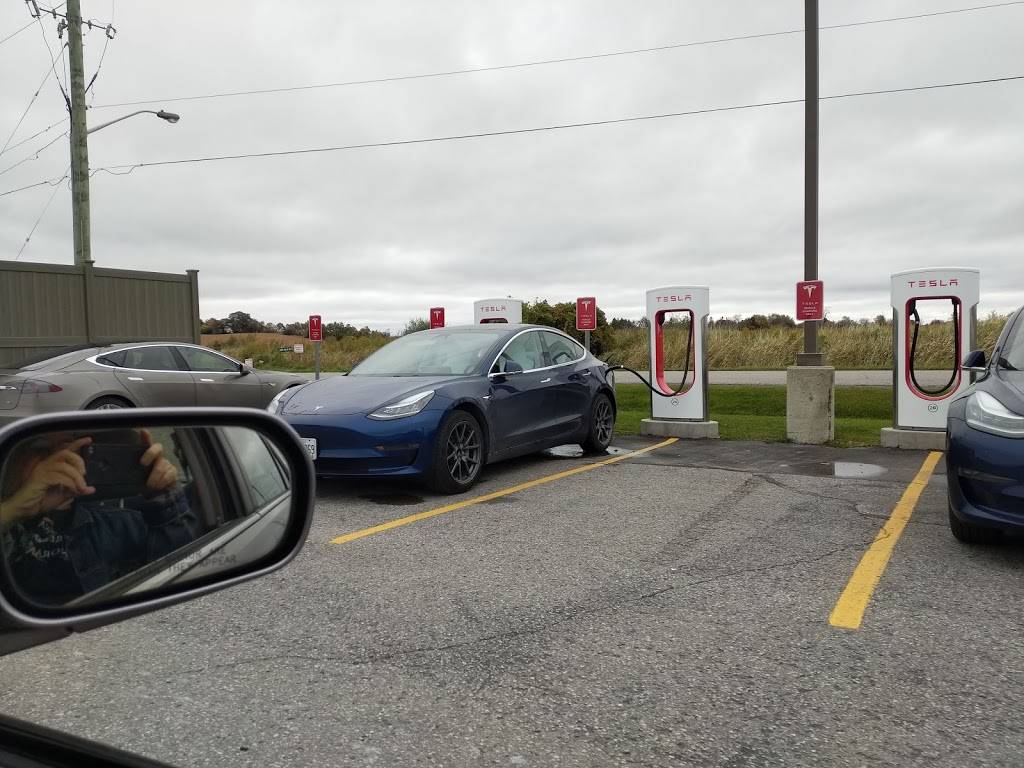 New York Fries | restaurant | 2211 Northumberland County Rd 28, Port Hope, ON L1A 3W4, Canada | 9058858955 OR +1 905-885-8955