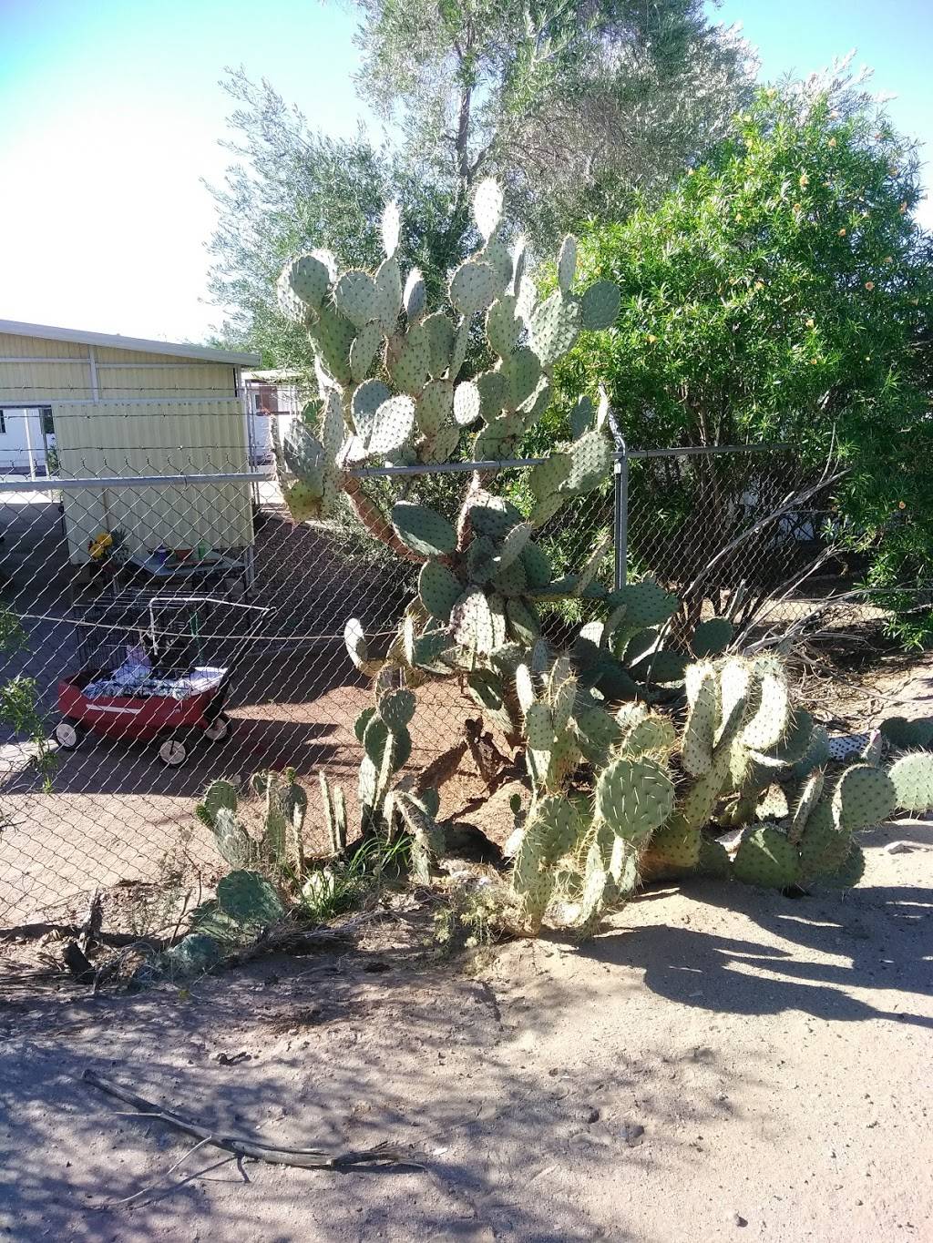 Apache Greyhound Park | restaurant | 220 S Delaware Dr, Apache Junction, AZ 85120, USA | 4809822371 OR +1 480-982-2371