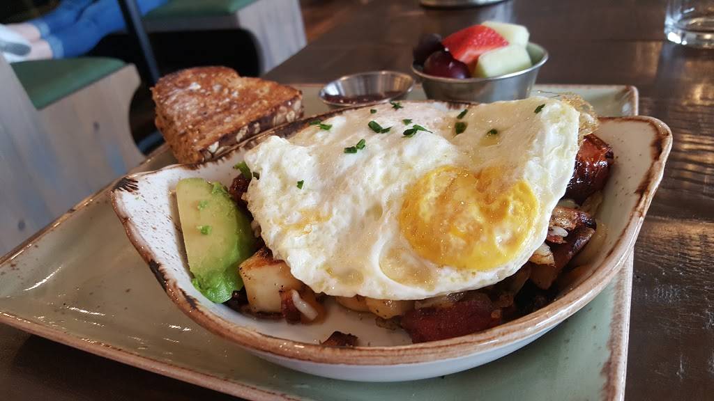 First Watch - Palm Harbor | restaurant | 35146 US Hwy 19 N, Palm Harbor, FL 34684, USA | 7277893447 OR +1 727-789-3447