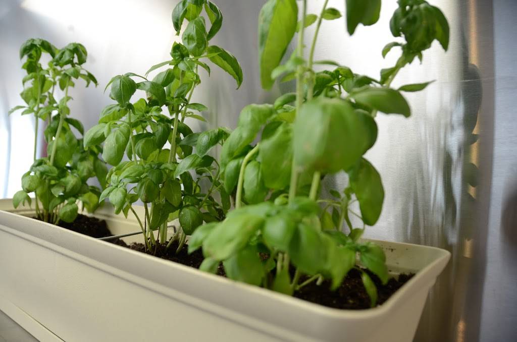 Mangia Italian Restaurant | restaurant | 2007 Hughes Rd, Madison, AL 35758, USA | 2567217462 OR +1 256-721-7462