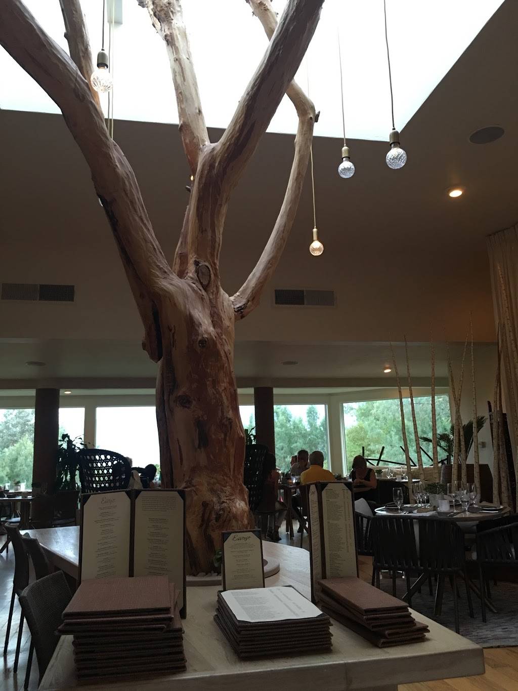 Essense | restaurant | 67425 Two Bunch Palms Trail, Desert Hot Springs, CA 92240, USA | 7603298791 OR +1 760-329-8791