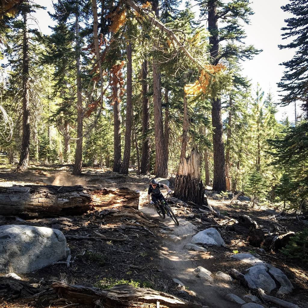 Over The Edge: Coffee Bikes Beer | cafe | 3665 Tamarack Ave, South Lake Tahoe, CA 96150, USA | 5306003633 OR +1 530-600-3633