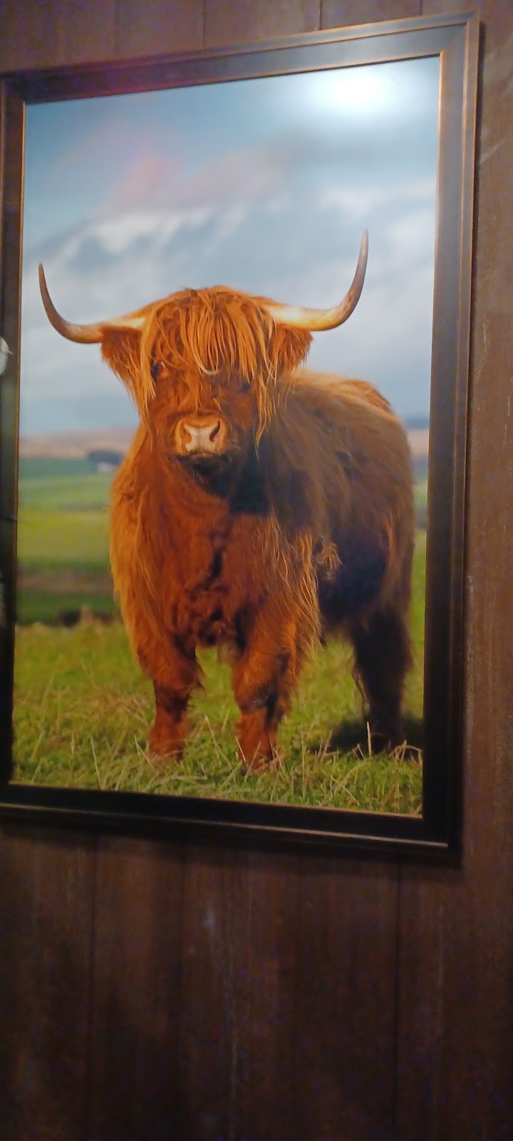 Free Range Kitchen | restaurant | 22864 Two Rivers Rd, Basalt, CO 81621, USA | 9702795199 OR +1 970-279-5199