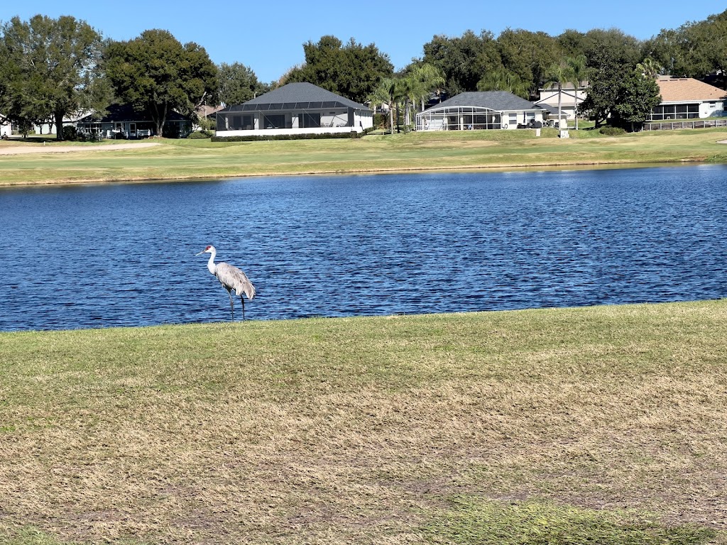 Green Valley Country Club | restaurant | 14601 Green Valley Blvd, Clermont, FL 34711, USA | 3523942133 OR +1 352-394-2133