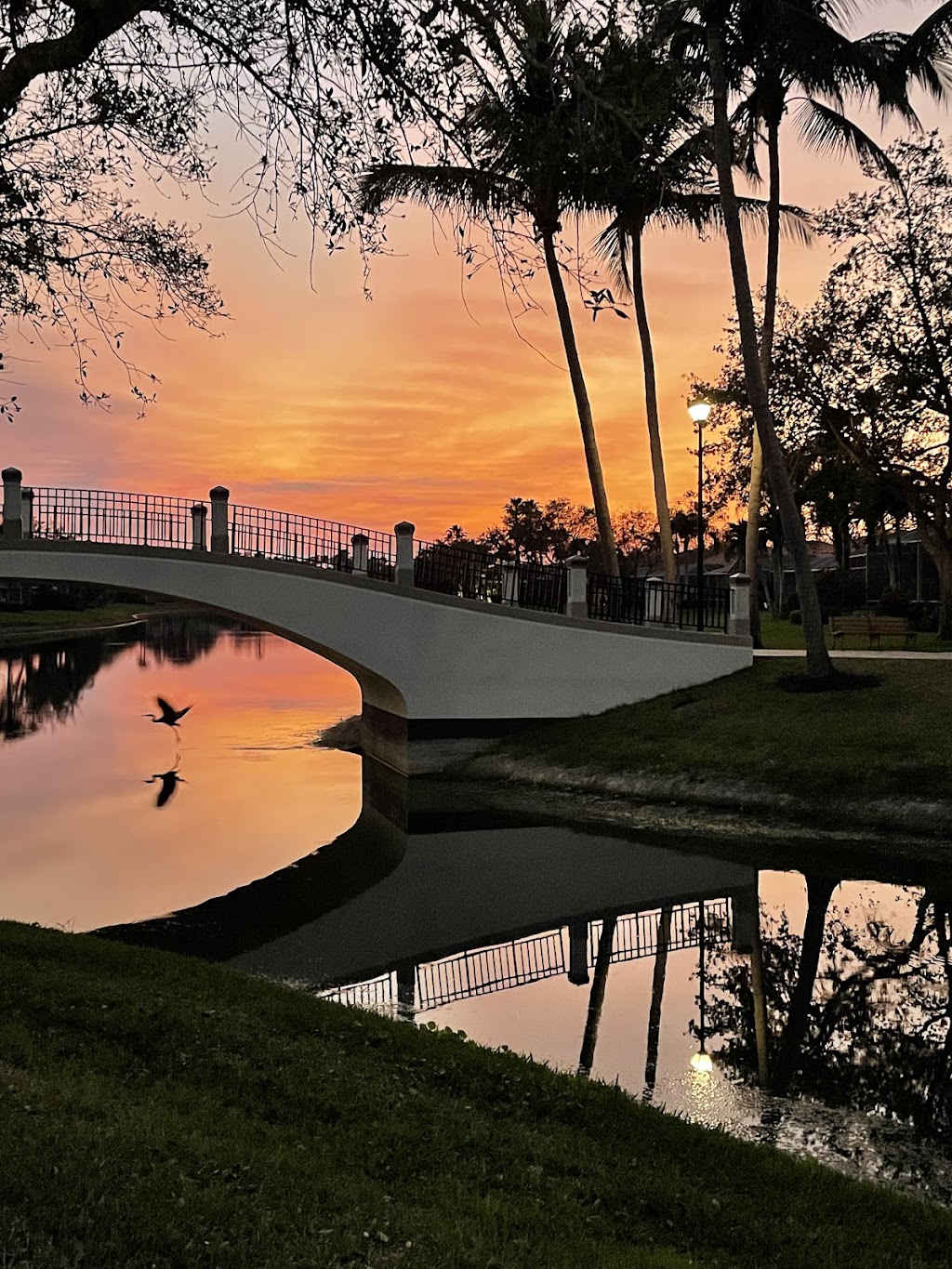 Casa cotzelli | restaurant | 6175 Towncenter Cir, Naples, FL 34119, USA | 2395925055 OR +1 239-592-5055