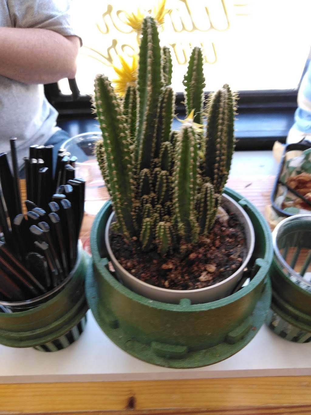 Winner Winner | restaurant | 677 Thames St, Newport, RI 02840, USA | 4018482449 OR +1 401-848-2449