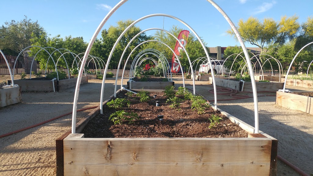 Red River BBQ | restaurant | 1401 E Bell Rd, Phoenix, AZ 85022, USA | 6029930922 OR +1 602-993-0922