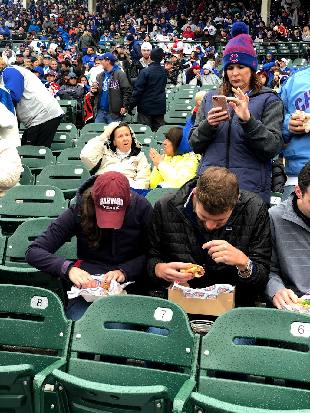 The Tree Bar | restaurant | 6 Oak St #3527, Nantucket, MA 02554, USA | 5083258696 OR +1 508-325-8696