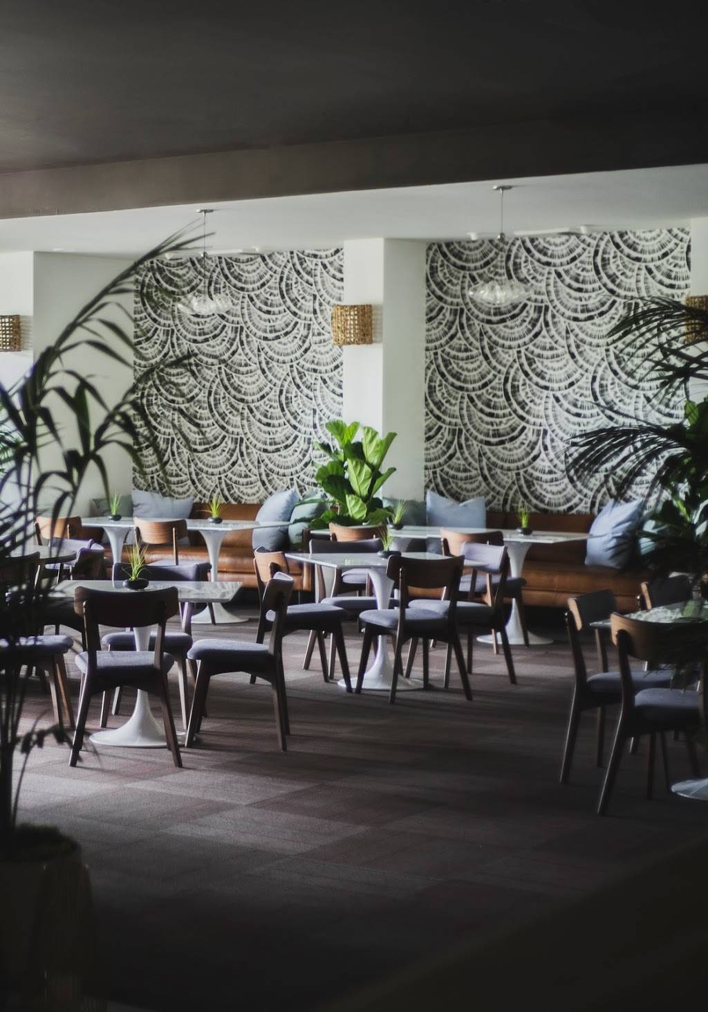 TBD Hawaii | restaurant | 2885 Kalakaua Ave, Honolulu, HI 96815, USA | 8087915164 OR +1 808-791-5164