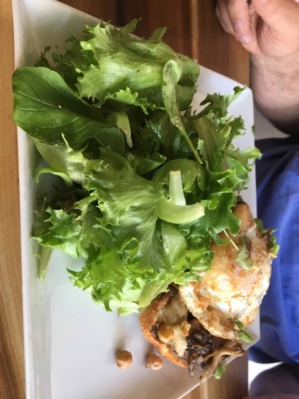 Urban Hearth | restaurant | 2263 Massachusetts Ave, Cambridge, MA 02140, USA | 6176827295 OR +1 617-682-7295