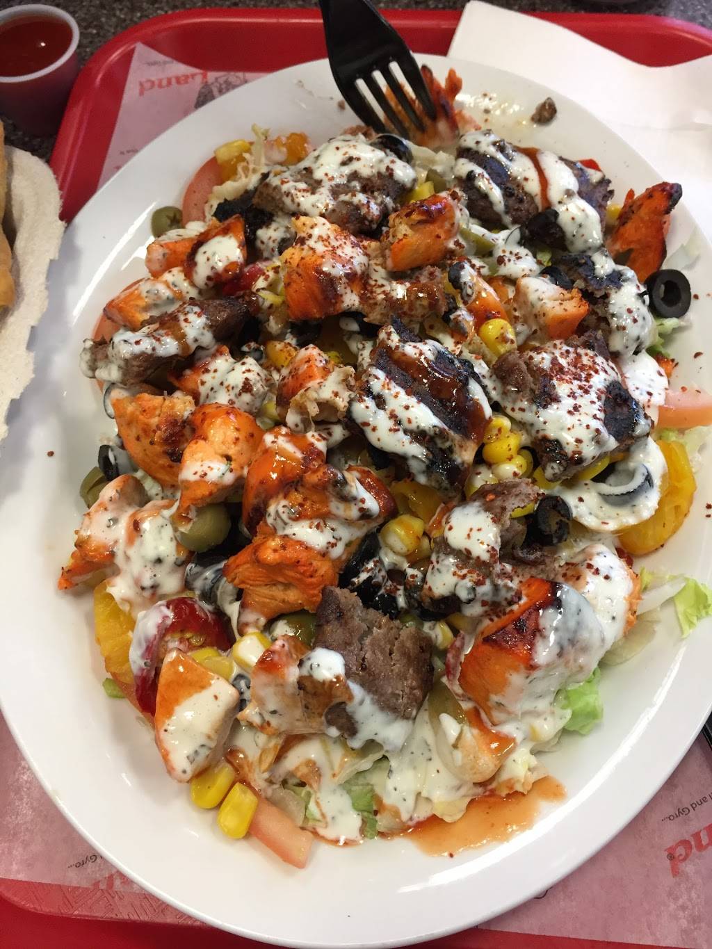 Pita Land | restaurant | 751 Don Mills Rd, North York, ON M3C 1S3, Canada | 6473435400 OR +1 647-343-5400