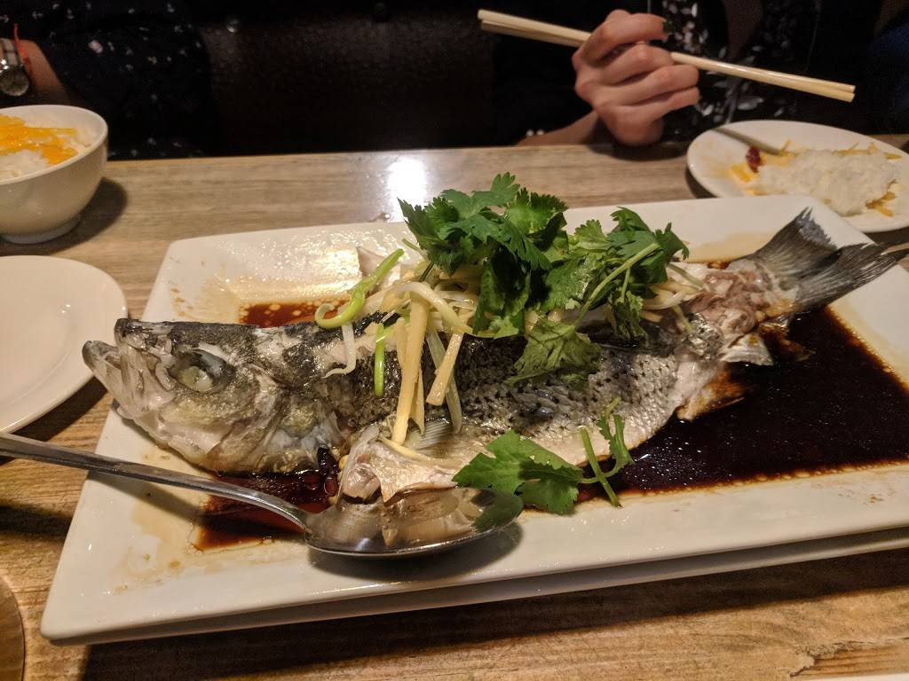 Dim Sum House by Jane Gs | restaurant | 3939 Chestnut St, Philadelphia, PA 19104, USA | 2159215377 OR +1 215-921-5377