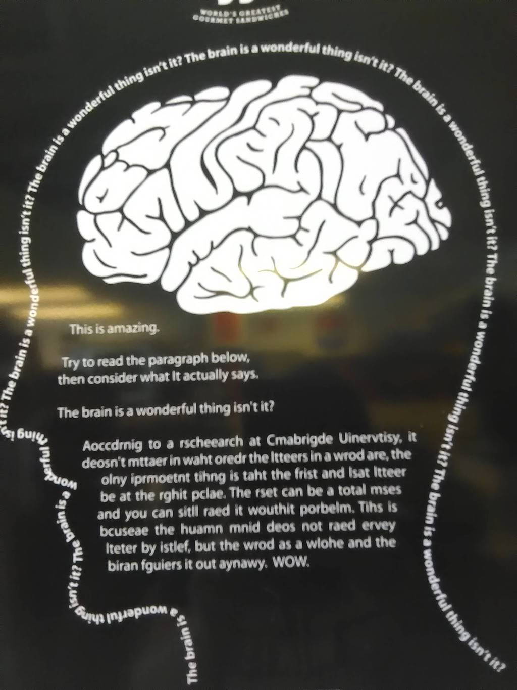Jimmy Johns | meal delivery | 1501 E Commercial Blvd, Fort Lauderdale, FL 33334, USA | 9544913434 OR +1 954-491-3434