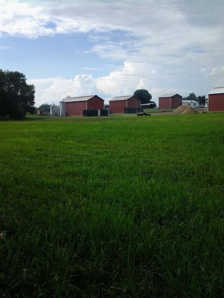 Mikes Old Fashioned BBQ | restaurant | 3655 Dunn Rd, Cedar Hill, TN 37032, USA | 6156961111 OR +1 615-696-1111