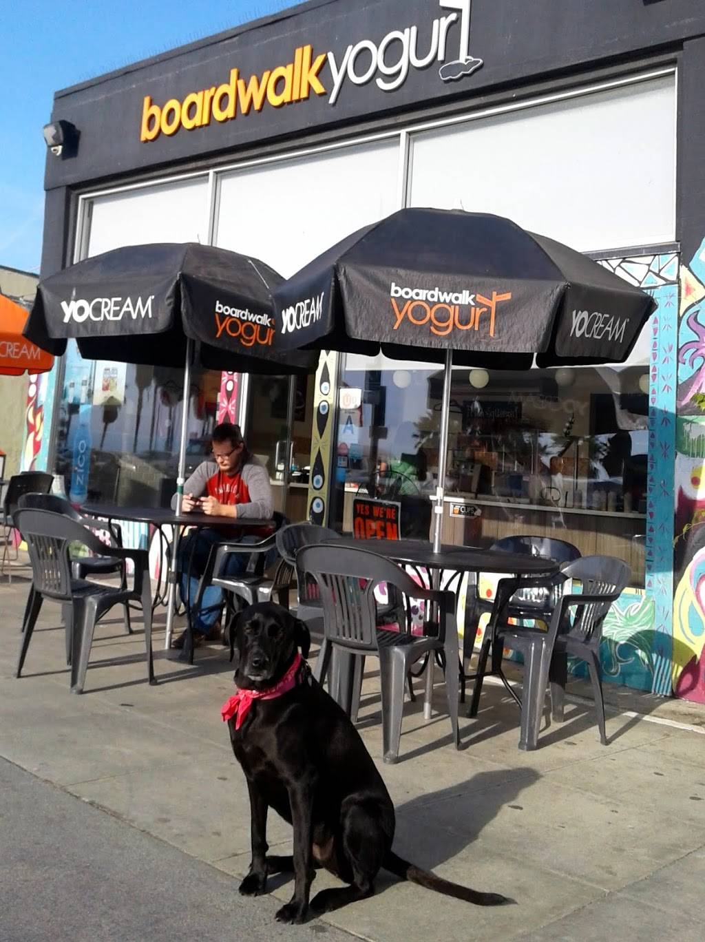 Boardwalk Yogurt | restaurant | 215 Ocean Front Walk, Venice, CA 90291, USA | 4242388977 OR +1 424-238-8977