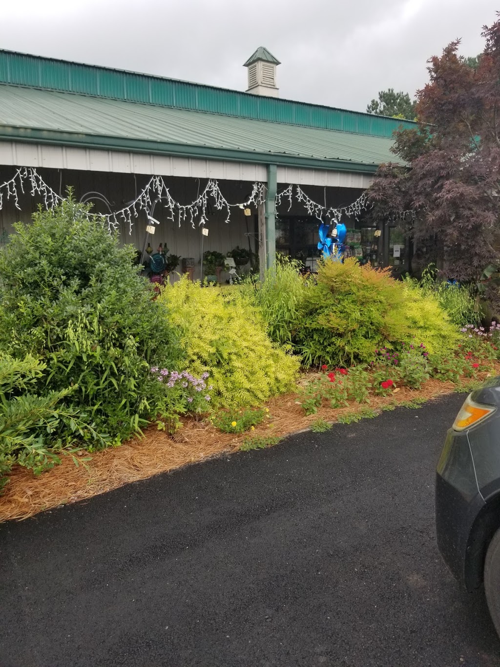 Farm 441 @ Thomas Orchards | restaurant | 6091 Macon Hwy, Bishop, GA 30621, USA | 7067695011 OR +1 706-769-5011