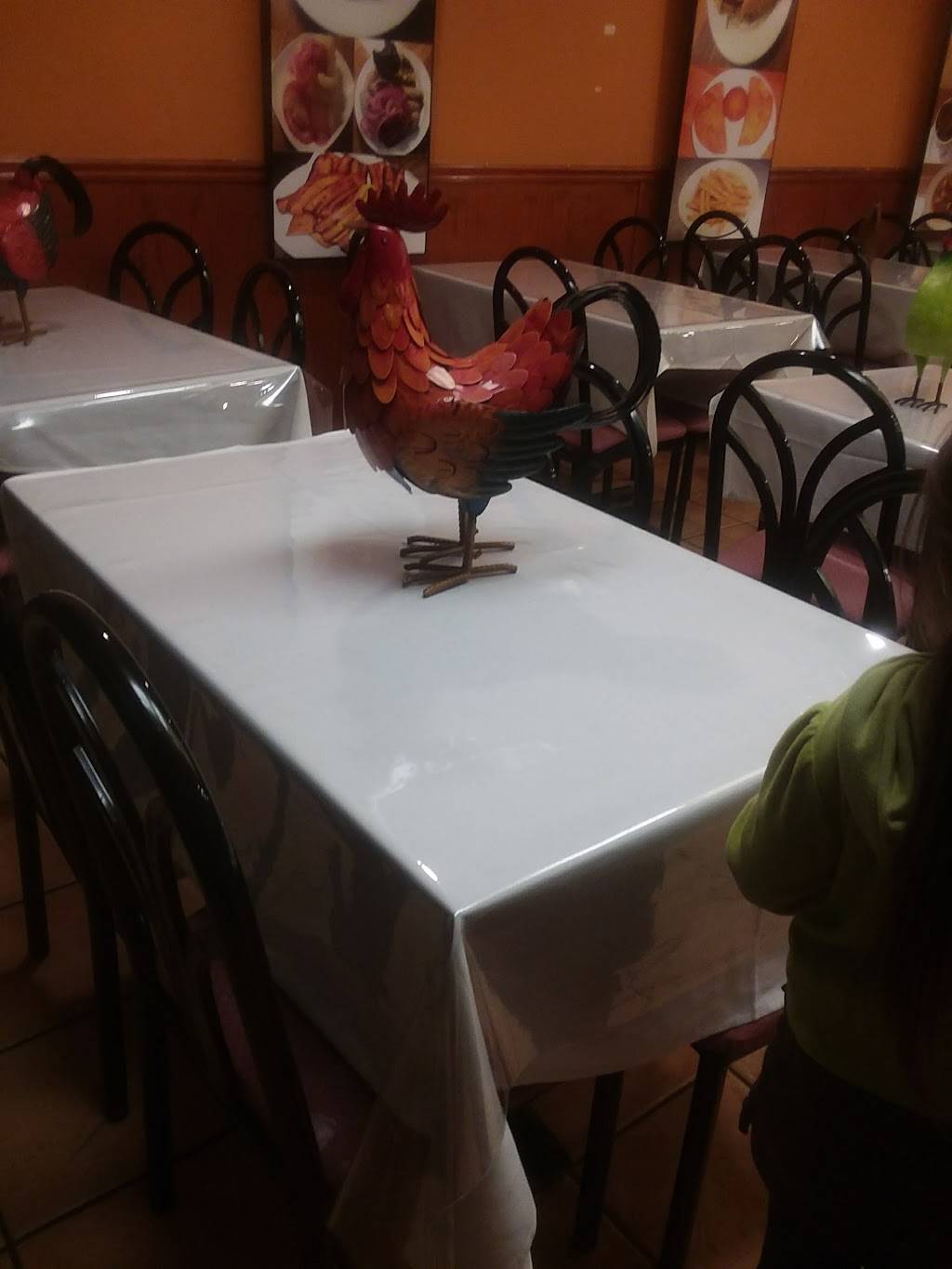 El Polio El Provocon | restaurant | 6620 Castor Ave, Philadelphia, PA 19149, USA | 2157222440 OR +1 215-722-2440