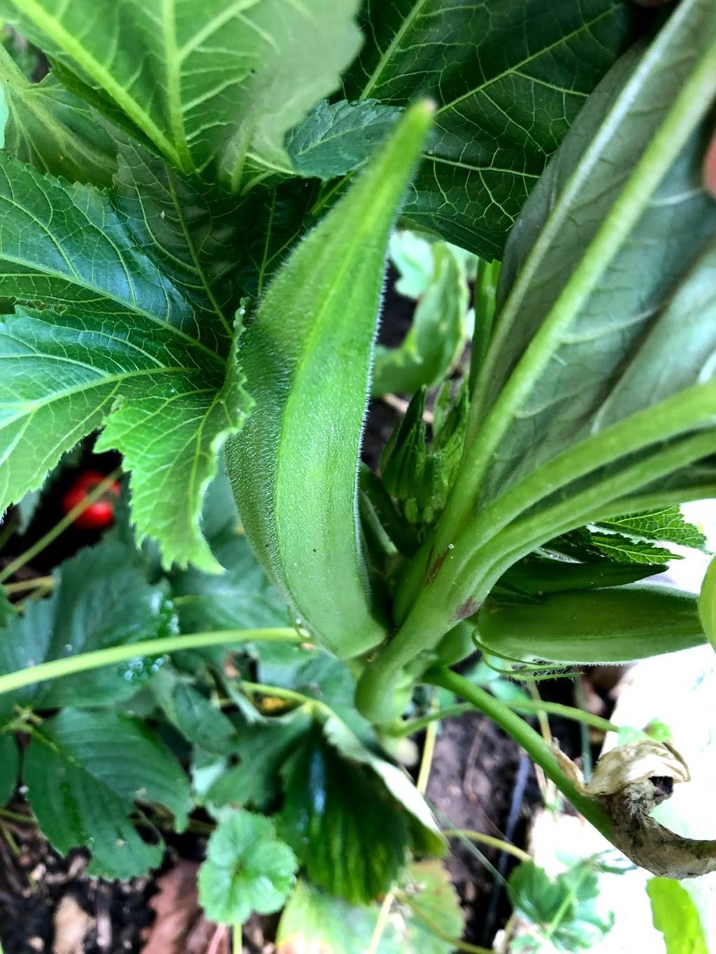 The Rivers Restaurant and Bar | restaurant | 1602 Eglinton Ave W, York, ON M6E 2G8, Canada | 6477393612 OR +1 647-739-3612