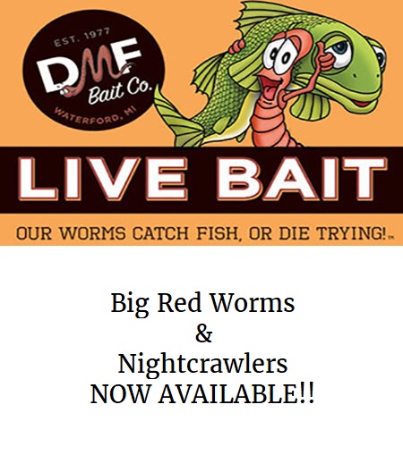 Super Station 5 | meal takeaway | 13882 FL-20, Niceville, FL 32578, USA | 8503532846 OR +1 850-353-2846