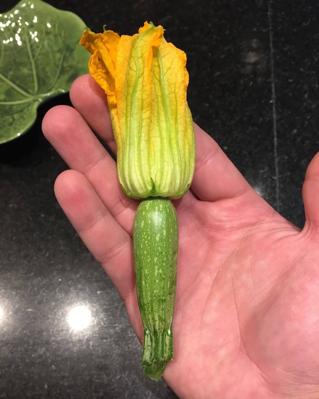 Sazon Mexican Cuisine | restaurant | 2361 W Rappel Ave, Bloomington, IN 47404, USA | 8129558517 OR +1 812-955-8517