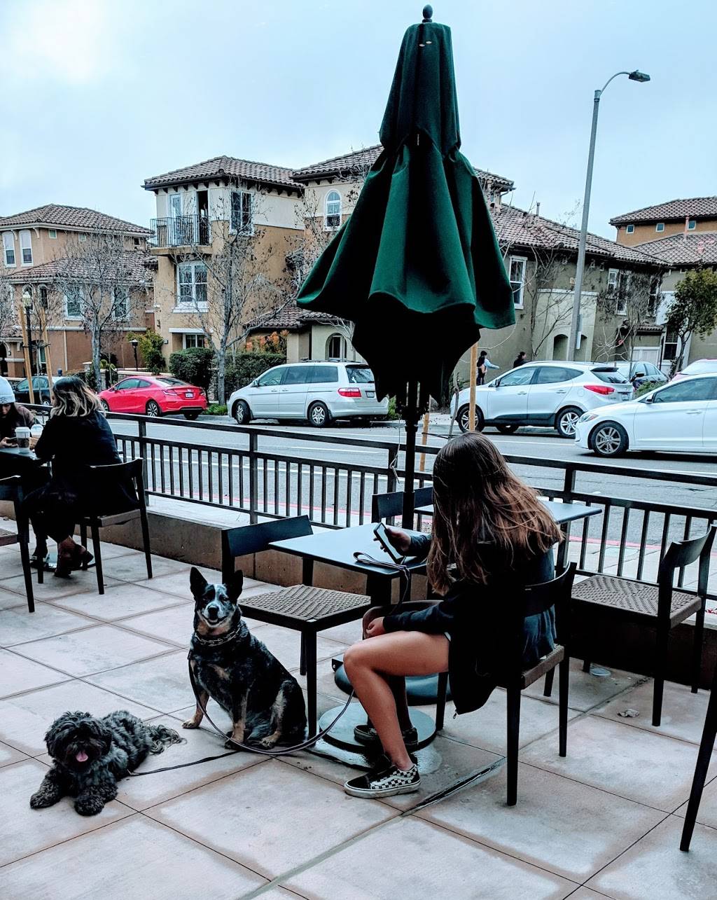 Starbucks | cafe | 1620 San Elijo Rd Suite 101, San Marcos, CA 92078, USA | 7604104893 OR +1 760-410-4893