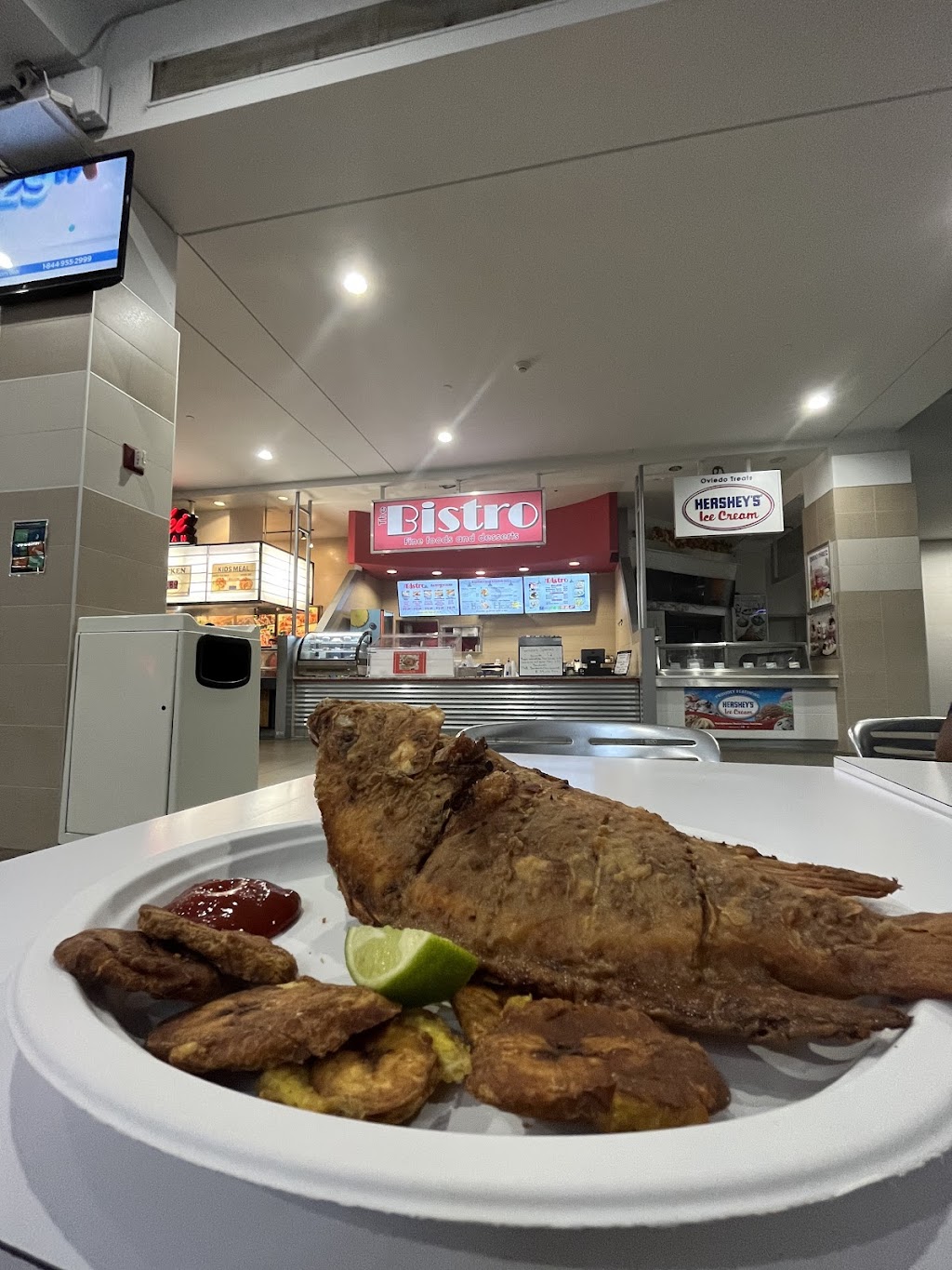 The bistro | restaurant | 1620 Oviedo Mall Boulevard, Oviedo, FL 32765, USA | 4075424529 OR +1 407-542-4529