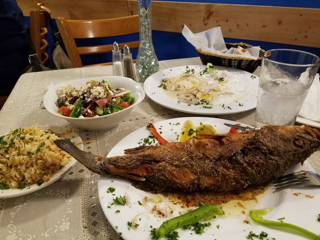 Mini Pita Mediterranean Cafe | restaurant | 1019 W State Rd 84, Fort Lauderdale, FL 33315, USA | 9544515118 OR +1 954-451-5118